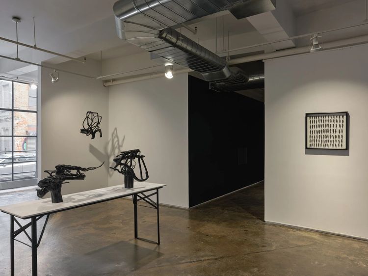 Installation view, The Banshees and Their Fairy Friends in the Shadow Forest, AIR · 2025 (6)