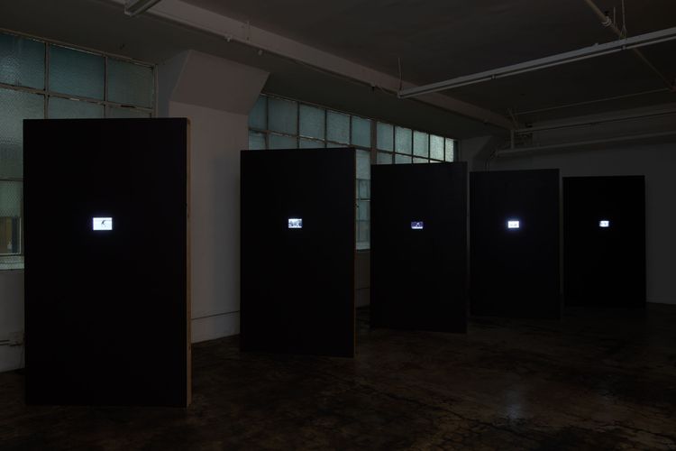 Installation view, The Goal of Our Health, Joan · 2025 (2)
