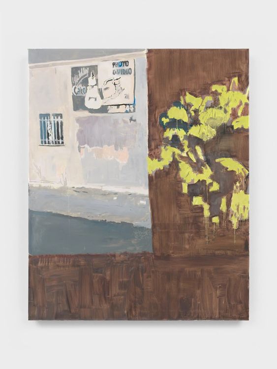 Installation view, A flower in the ending, David Peter Francis · 2026 (11)