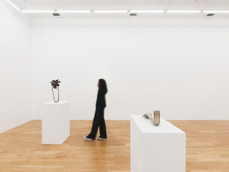Installation view, Alien Spring, Nicodim · 2025 (16)