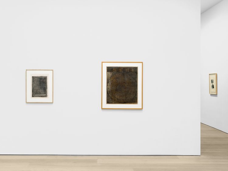 Installation view, Copy/Trace, David Zwirner, 537 West 20th Street · 2026 (2)