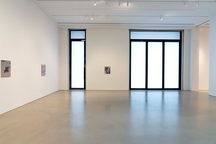Installation view, Premonitions, Petzel Gallery · 2025 (3)
