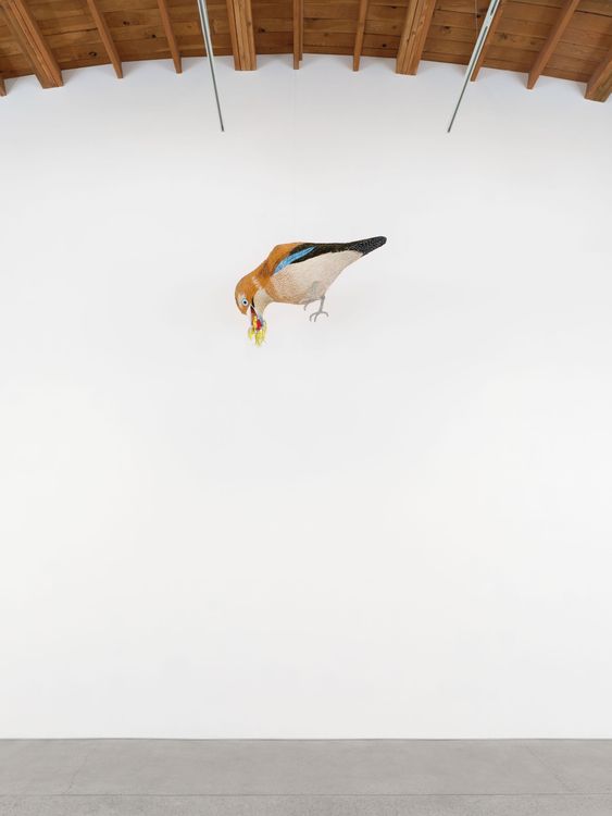 Installation view, Roberto Benavidez: BOSCH BEASTS, Perrotin · 2025 (3)
