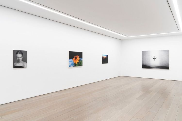 Installation view, Aryo Toh Djojo, Perrotin · 2026 (4)