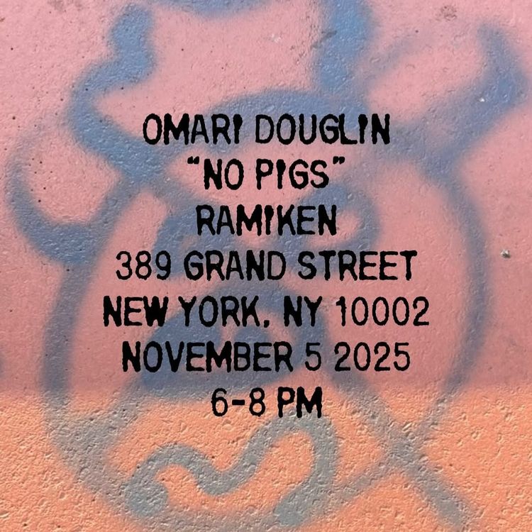 Installation view, No Pigs, Ramiken
