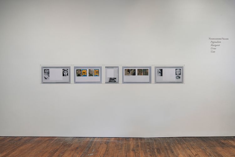 Installation view, Pygmalion Margaret Ursus Uan, Peter Freeman, Inc. · 2026 (7)