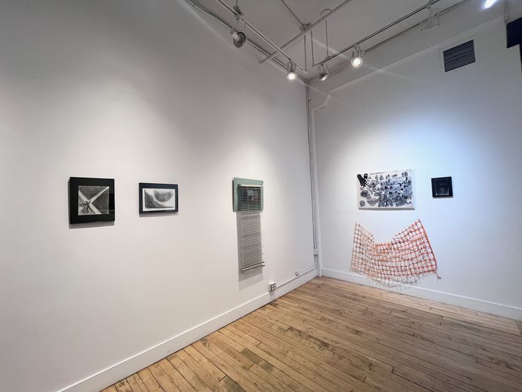 Installation view, Duck and Color, Noho M55 Gallery · 2026 (1)