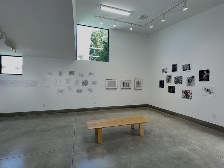 Installation view, HOMOTOPY, Council Street · 2026 (1)
