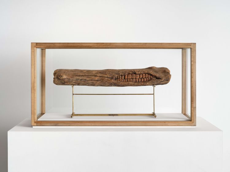 Installation view, Well, Fernberger Gallery · 2026 (1)