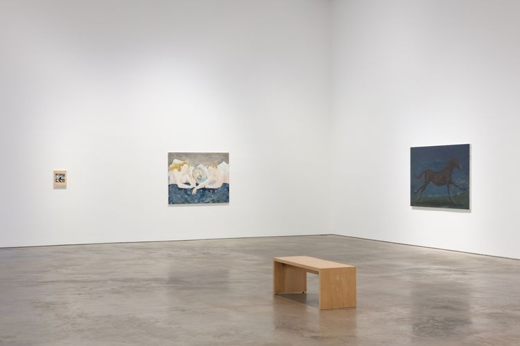 Installation view: Tanya Merrill, Land animal, house animal, 303 Gallery, New York, 2026. Photo: Morgan Waltz