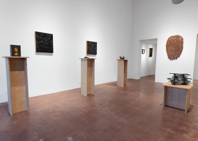 Installation view, Unkindness, Track 16, Hollywood · 2025 (7)