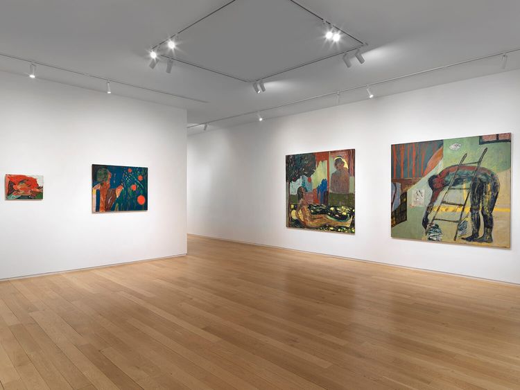 Installation view, DANNY FOX: FATA MORGANA, Alexander Berggruen · 2026 (2)