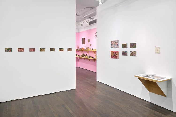 Installation view, Ama Birch, White Columns · 2025 (4)