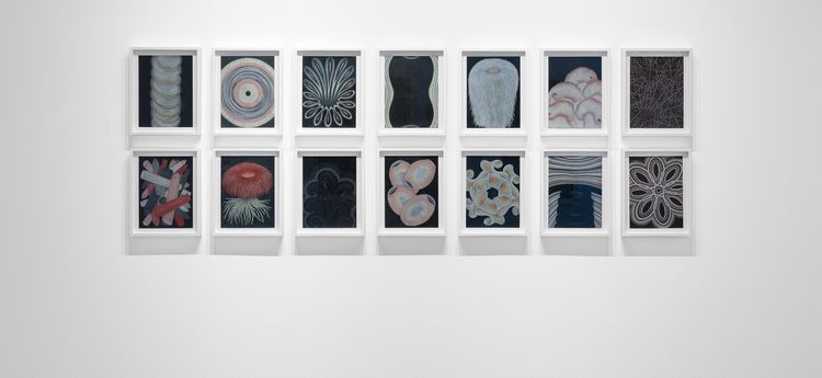 Installation view, The Black Drawings, Robilant + Voena · 2025 (1)