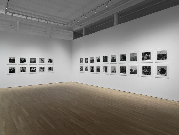 Installation view, The Gracie Mansion Show, Ortuzar · 2026 (4)