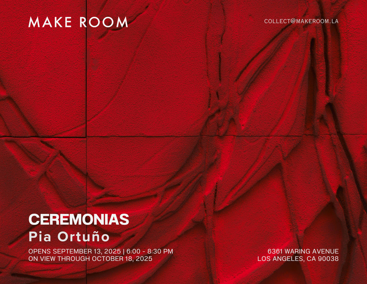 Installation view, Ceremonias, Make Room