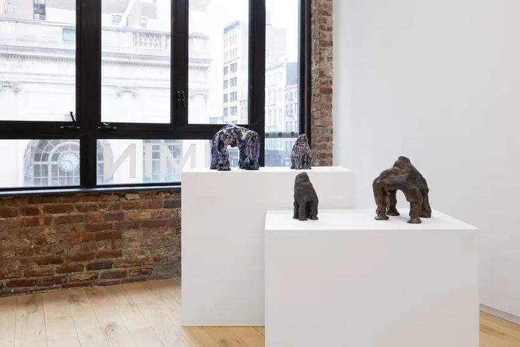Installation view, Whims of Panspermia, DIMIN · 2026 (7)