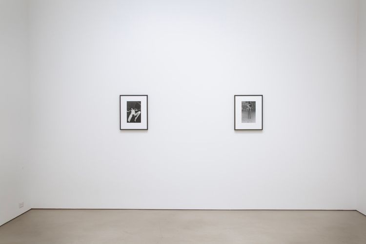 Installation view, The Viewing Room, Petzel Gallery · 2025 (1)