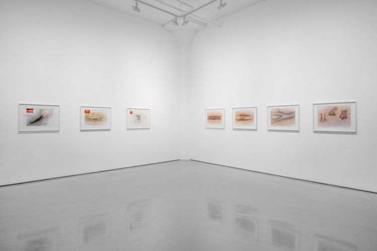 Installation view, Drawings and Photographs, Fergus McCaffrey · 2026 (4)