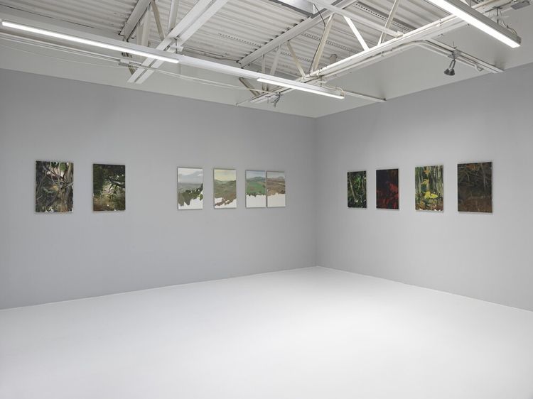 Installation view, Landscapes, Jeffrey Deitch, Wooster Street · 2026 (5)