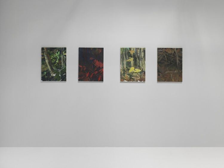 Installation view, Landscapes, Jeffrey Deitch, Wooster Street · 2026 (2)