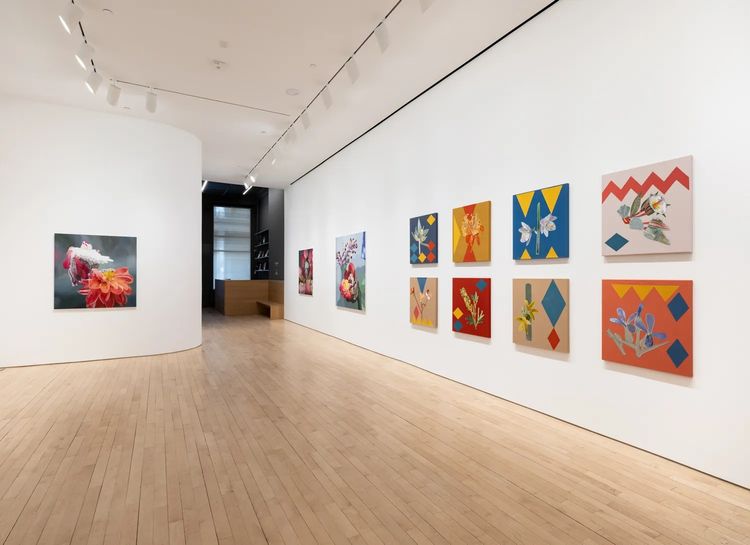 Installation view, From root to rain, Jane Lombard Gallery · 2026 (6)