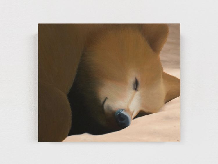 Installation view, Rodrigo Hernández, Tanya Bonakdar Gallery, New York