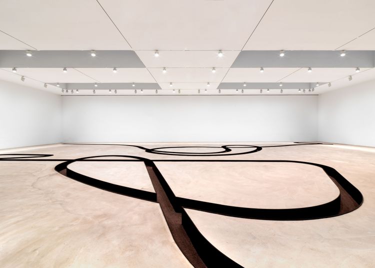 Installation view, Negative Sculpture, Gagosian, 522 West 21st Street · 2026 (3)