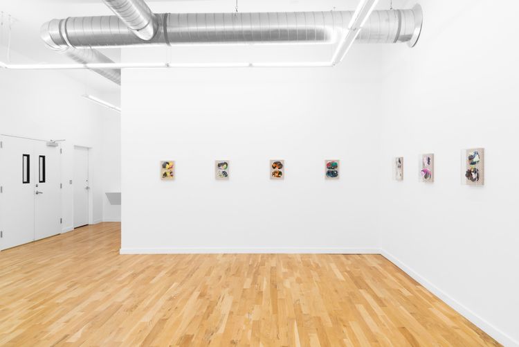 Installation view, Picture(s), DOCUMENT · 2026 (10)