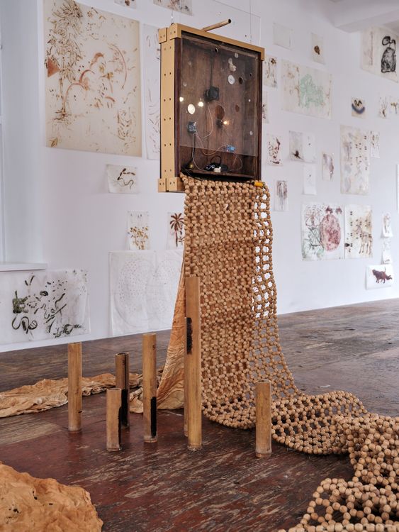 Installation view, Wake, mayfly…     , Kiang Malingue · 2026 (3)