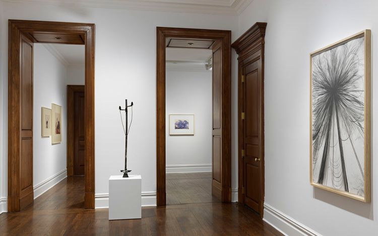 Installation view, Atropa, Sprüth Magers, New York · 2026 (5)