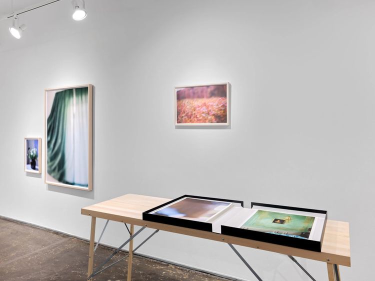 Installation view, Once Again I Fall Into My Feminine Ways, AIR · 2025 (5)