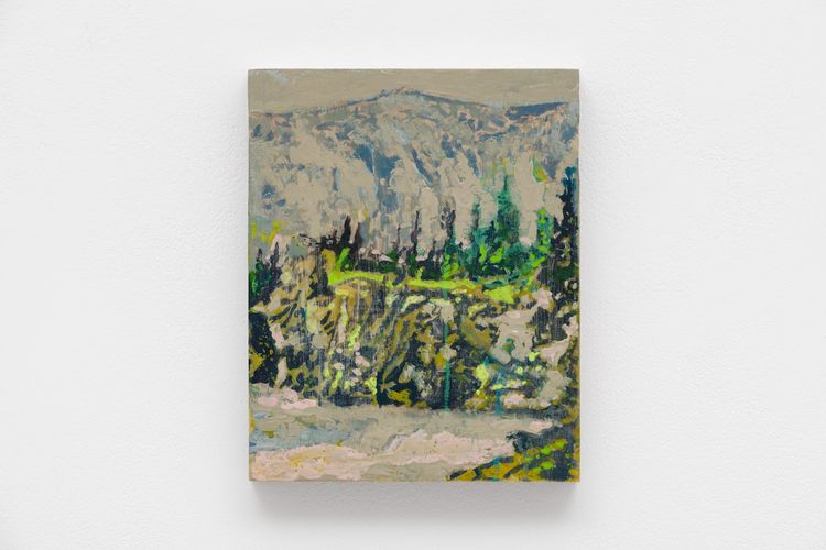 Installation view, John Maclean, Margot Samel · 2026 (13)