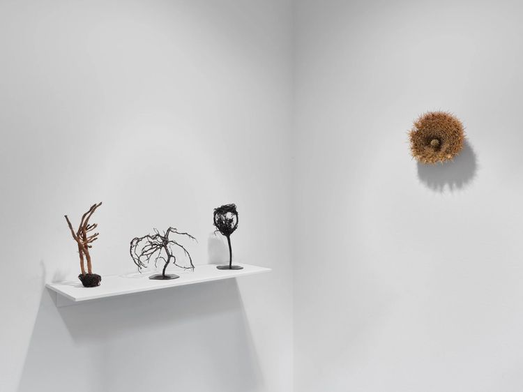 Installation view, The Banshees and Their Fairy Friends in the Shadow Forest, AIR · 2025 (2)