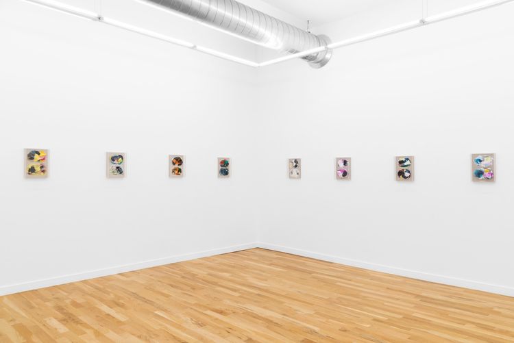 Installation view, Picture(s), DOCUMENT · 2026 (13)