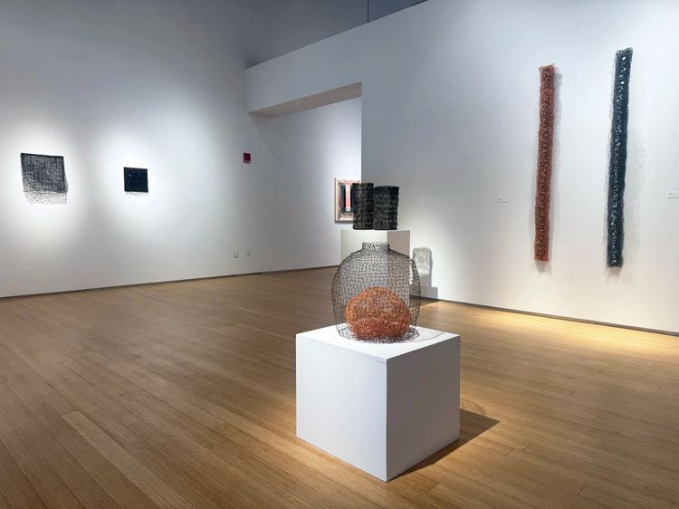 Installation view, Nancy Koenigsberg, Nancy Hoffman · 2025 (8)