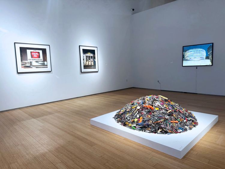 Installation view, Projecting Democracy, Nancy Hoffman · 2026 (9)