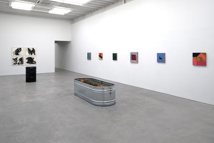 Installation view, I Am Gravity, Karma, 188 East 2nd Street · 2026 (3)