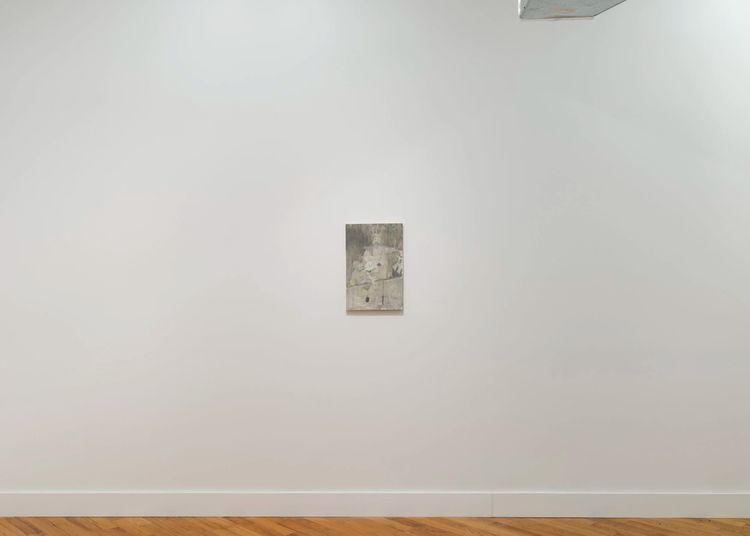 Installation view, A flower in the ending, David Peter Francis · 2026 (2)