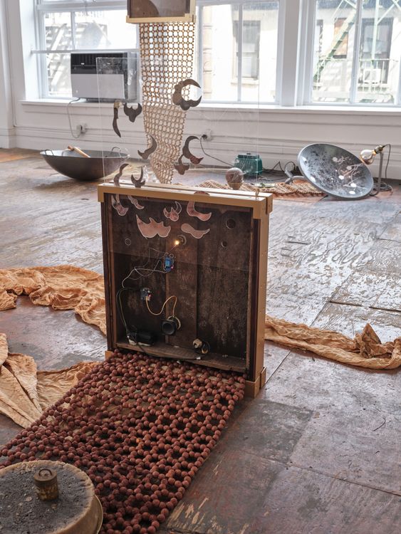 Installation view, Wake, mayfly…     , Kiang Malingue · 2026 (12)