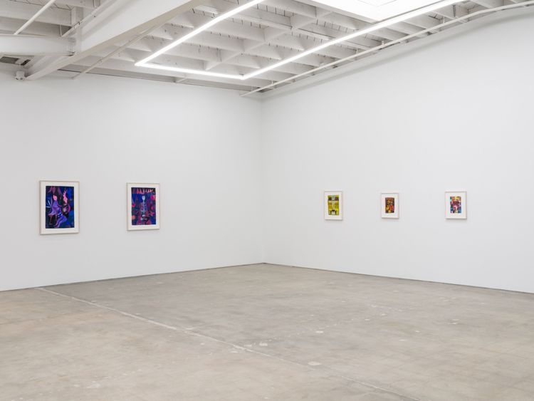 Installation view, Srklet, Karma Gallery · 2025 (9)