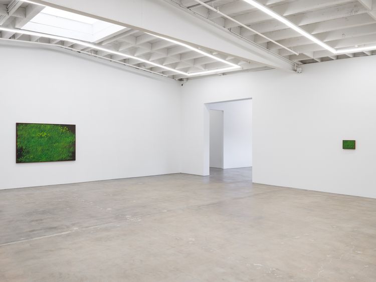Installation view, Calvin Marcus, Karma Gallery · 2025 (1)