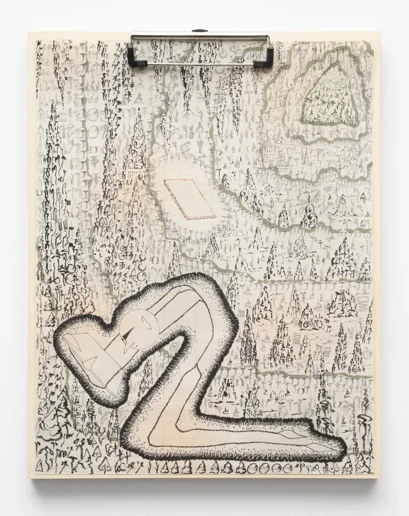 Installation view, Etiolated Calligrapher, Hyacinth Gallery · 2026 (15)