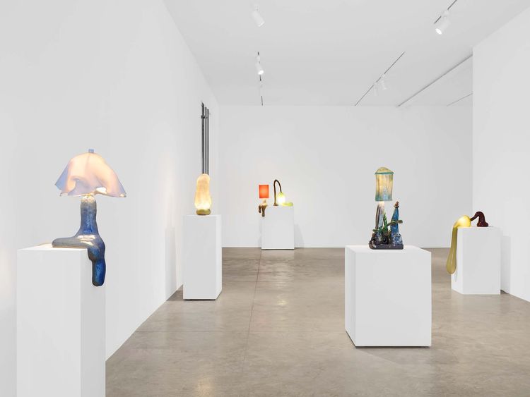 Installation view, Salut, Ça va,, Friedman Benda · 2025 (4)