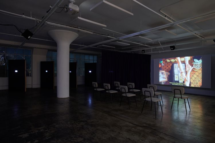 Installation view, The Goal of Our Health, Joan · 2025 (10)