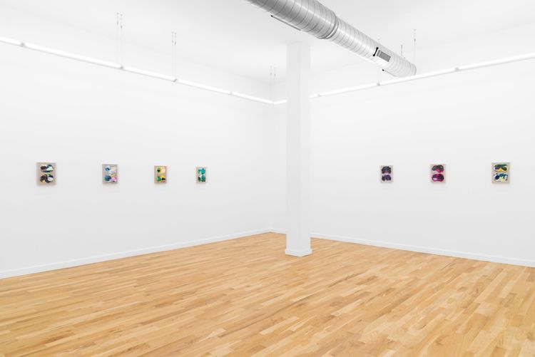 Installation view, Picture(s), DOCUMENT · 2026 (12)