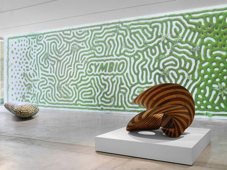Installation view, SYMBIO, Friedman Benda · 2026 (6)