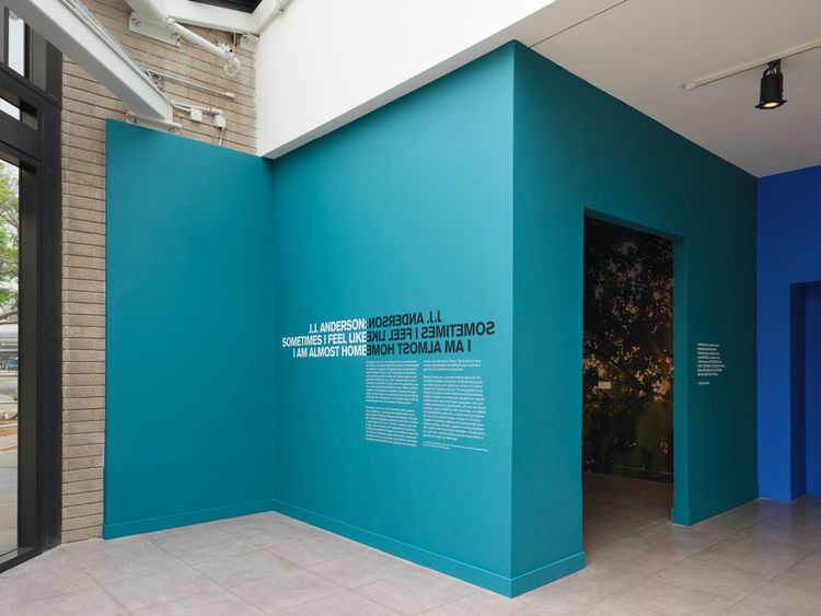 Installation view, Sometimes I Feel Like I Am Almost Home, California African American Museum · 2025 (1)