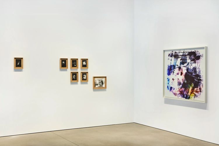 Installation view, On an Overgrown Path, Marian Goodman, New York · 2026 (14)