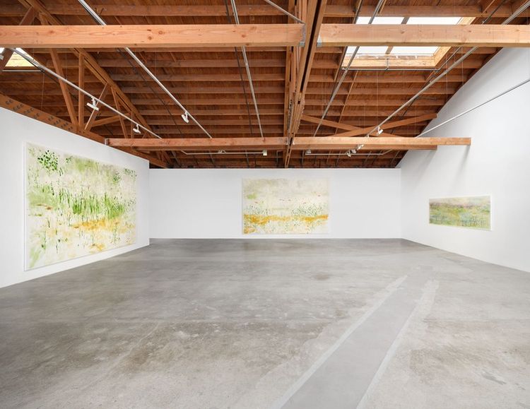 Installation view, Trevor Shimizu, Matthew Brown, NYC · 2026 (4)